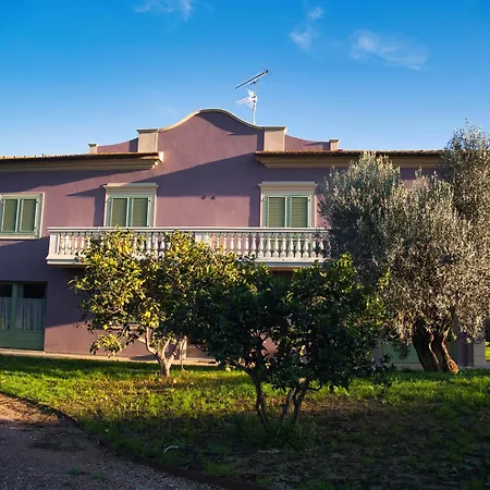 Tenuta Merlo